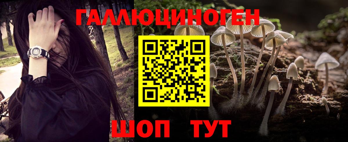 Псилоцибиновые грибы мицелий Грязи